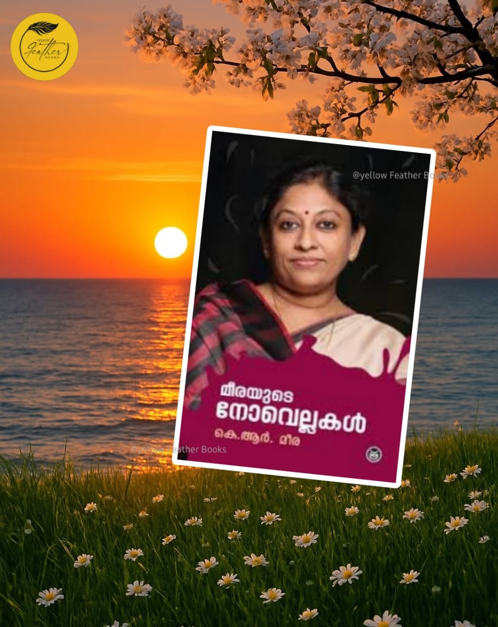 Meerayude Novellakal