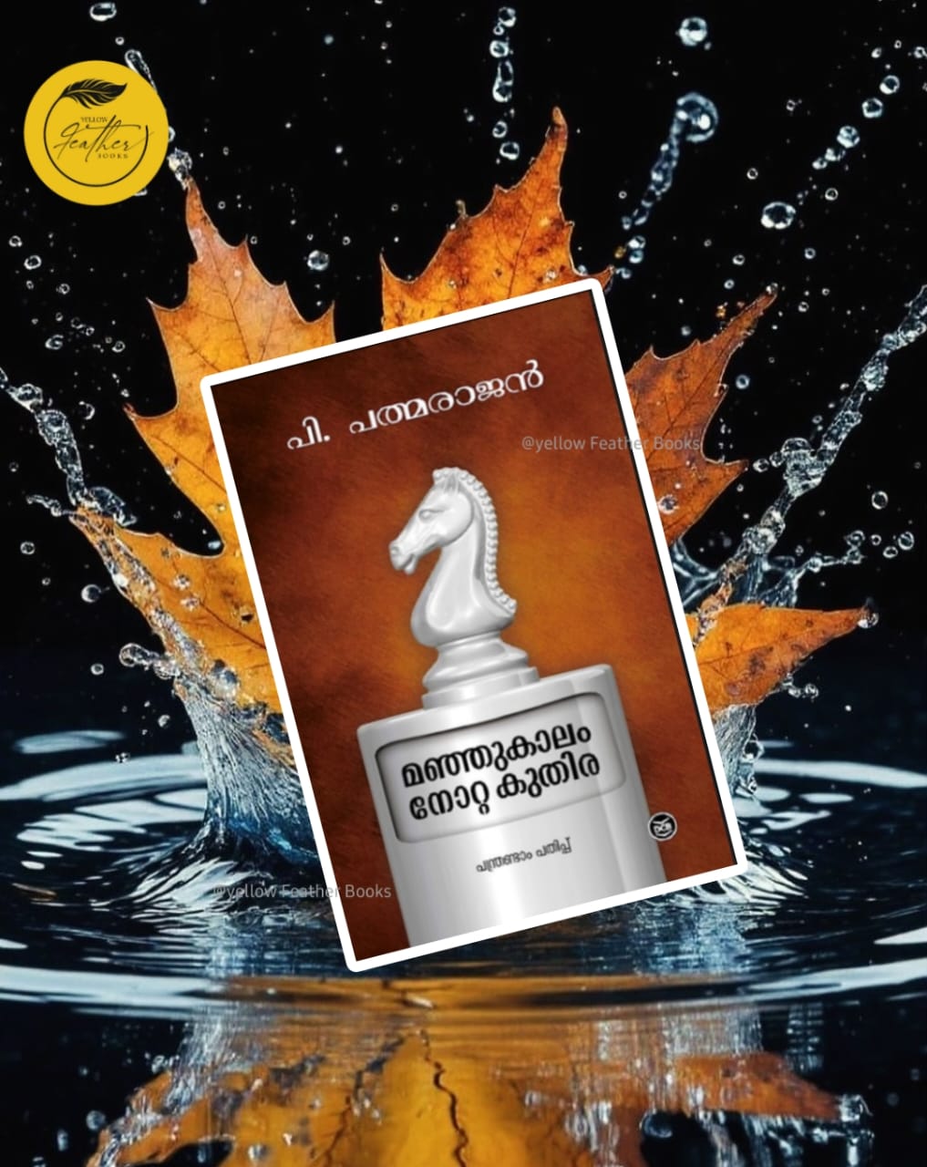 Prathimayum Rajakumariyum