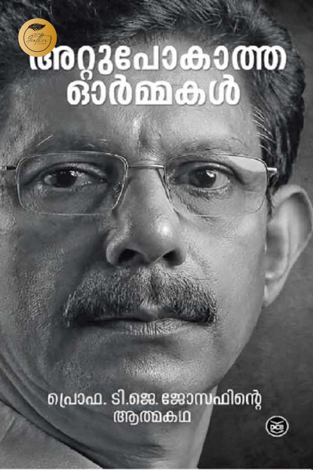 Attupokatha Oramakal