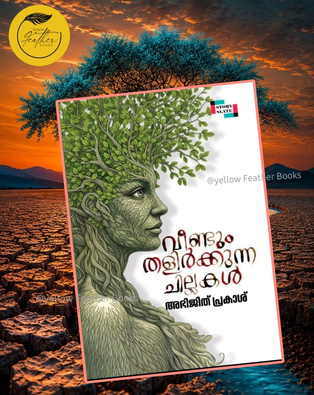 Veendum Thalikkunna Chillakal