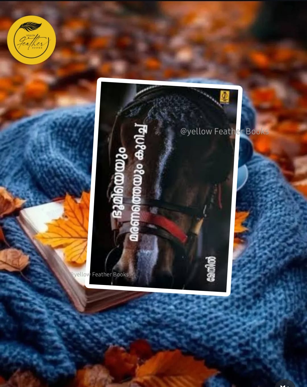 Bhoomiyeyum Maranatheyumkkurichu